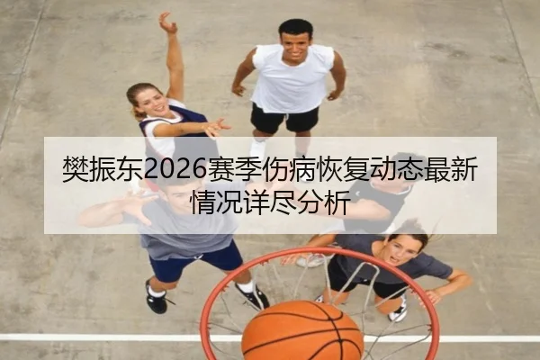 樊振东2026赛季伤病恢复动态最新情况详尽分析